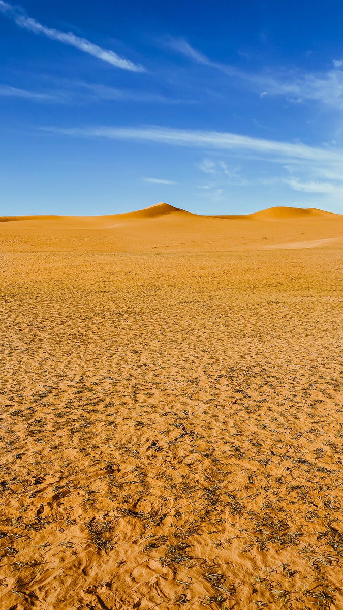 غـيث tweet media