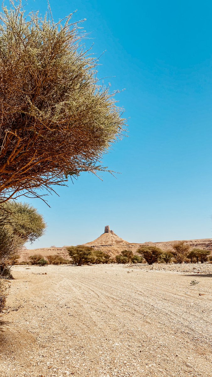 غـيث tweet media