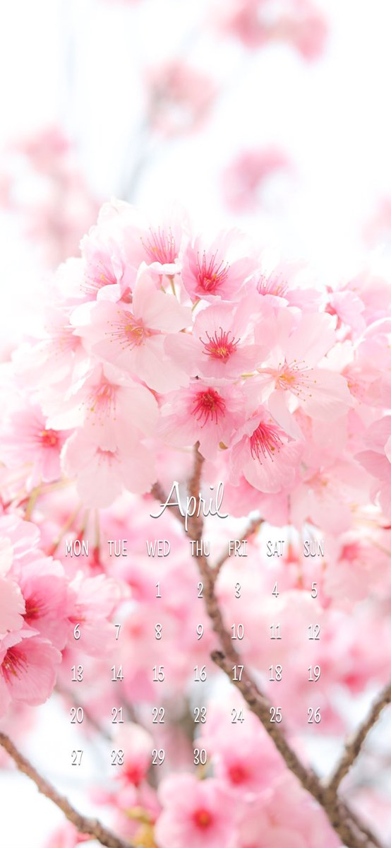 Maki Takano📷 tweet media