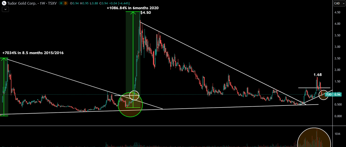 TheApeOfGoldStreet tweet media