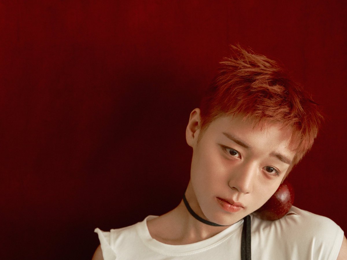 박먼꼬 tweet media