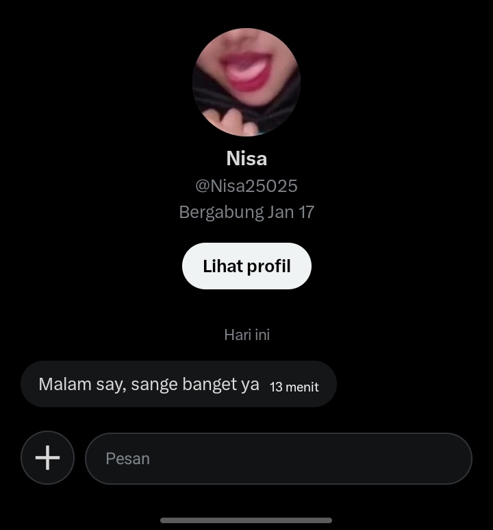 ibu kost tweet media