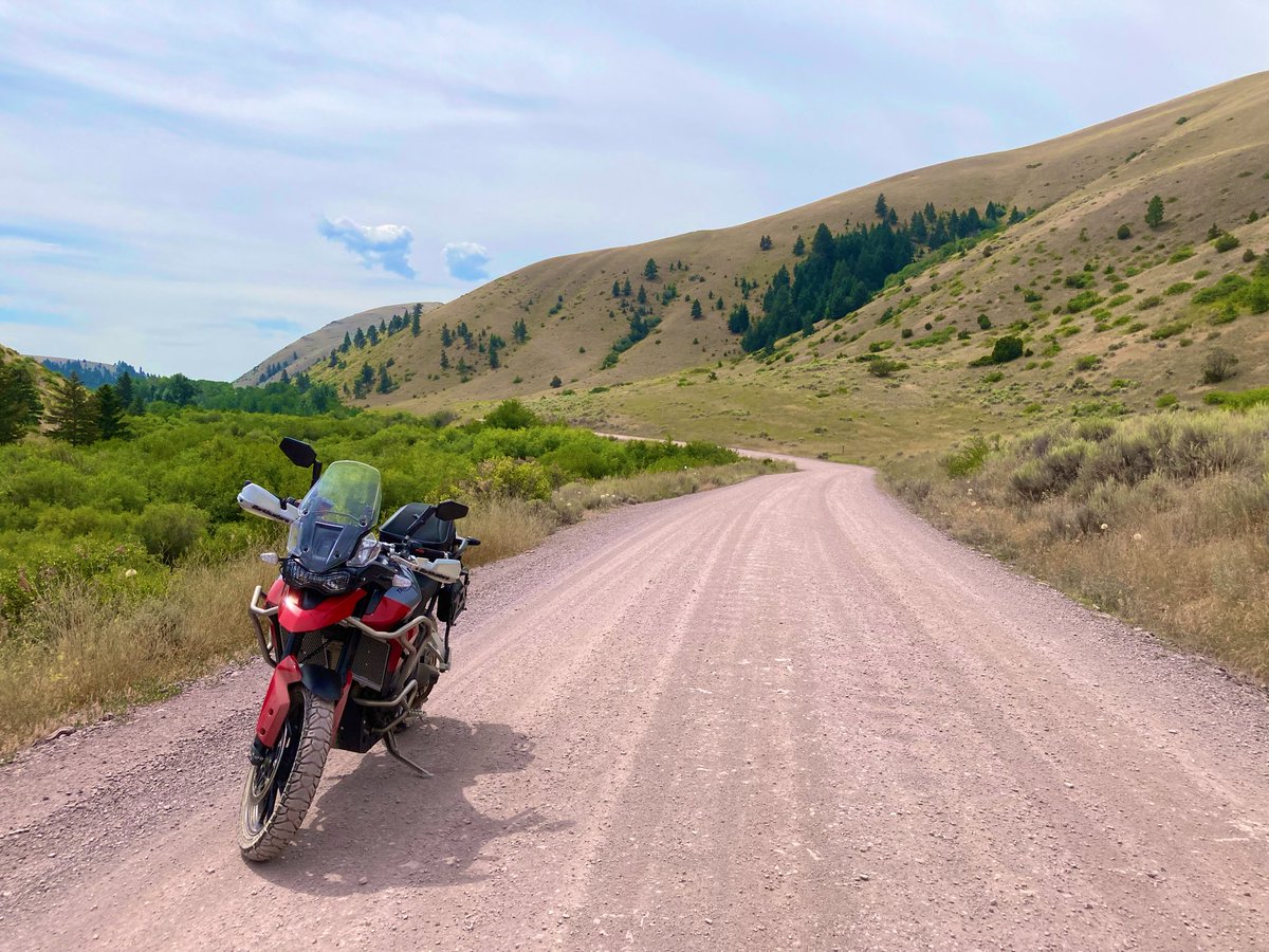 Out on a Bimble tweet media