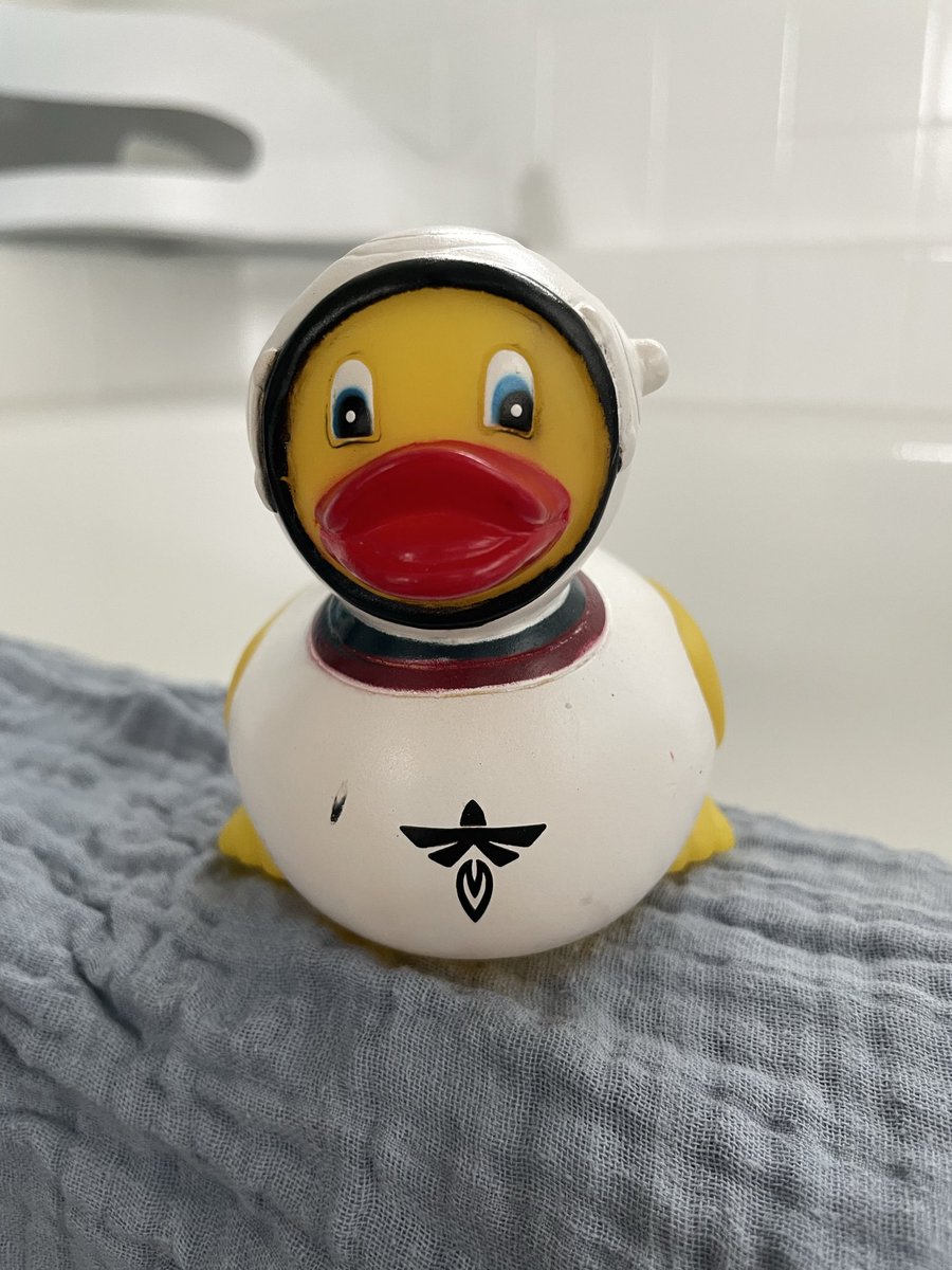 Taylor Sargent tweet media