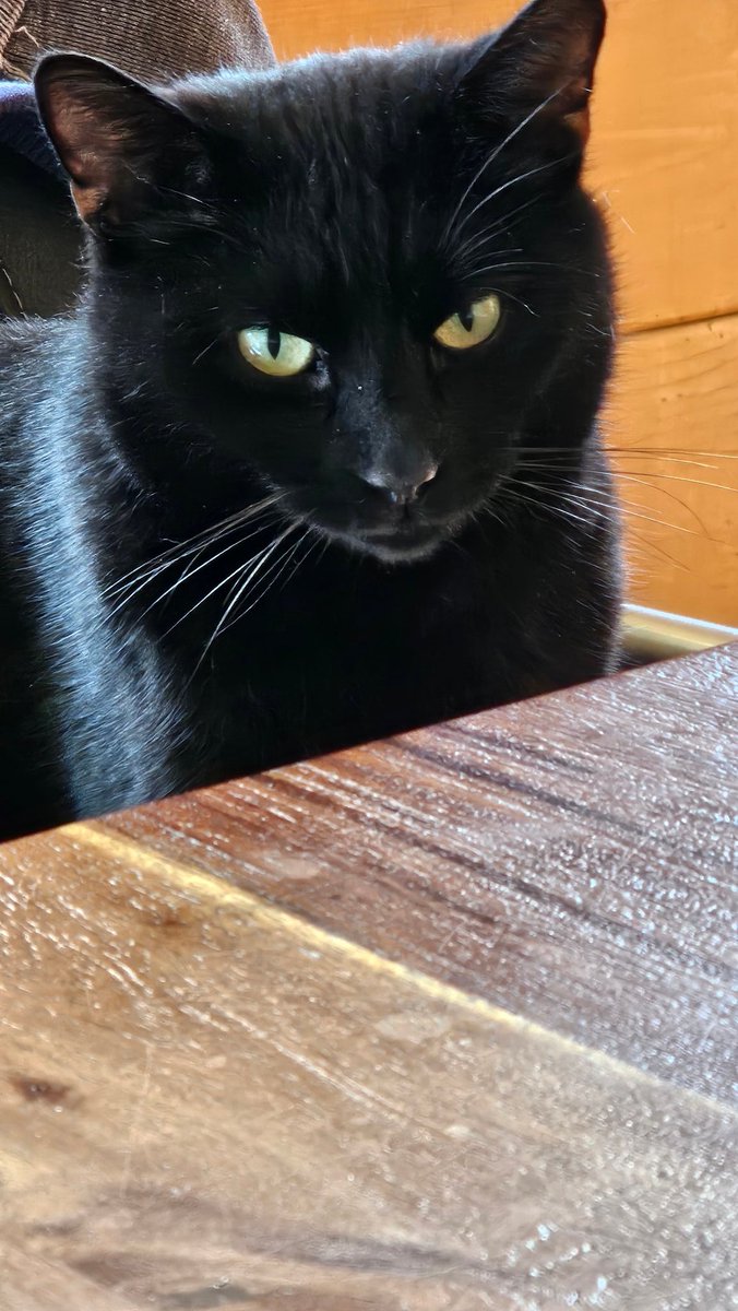 louise Weteling Hageman 🐦 tweet media