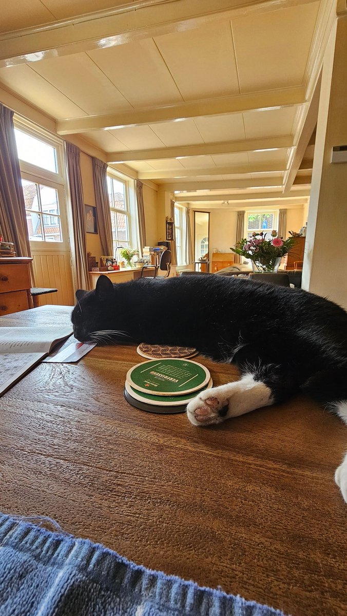 louise Weteling Hageman 🐦 tweet media