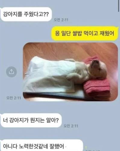 따개비루 tweet media