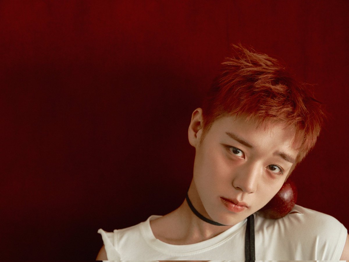 고봉밥 tweet media