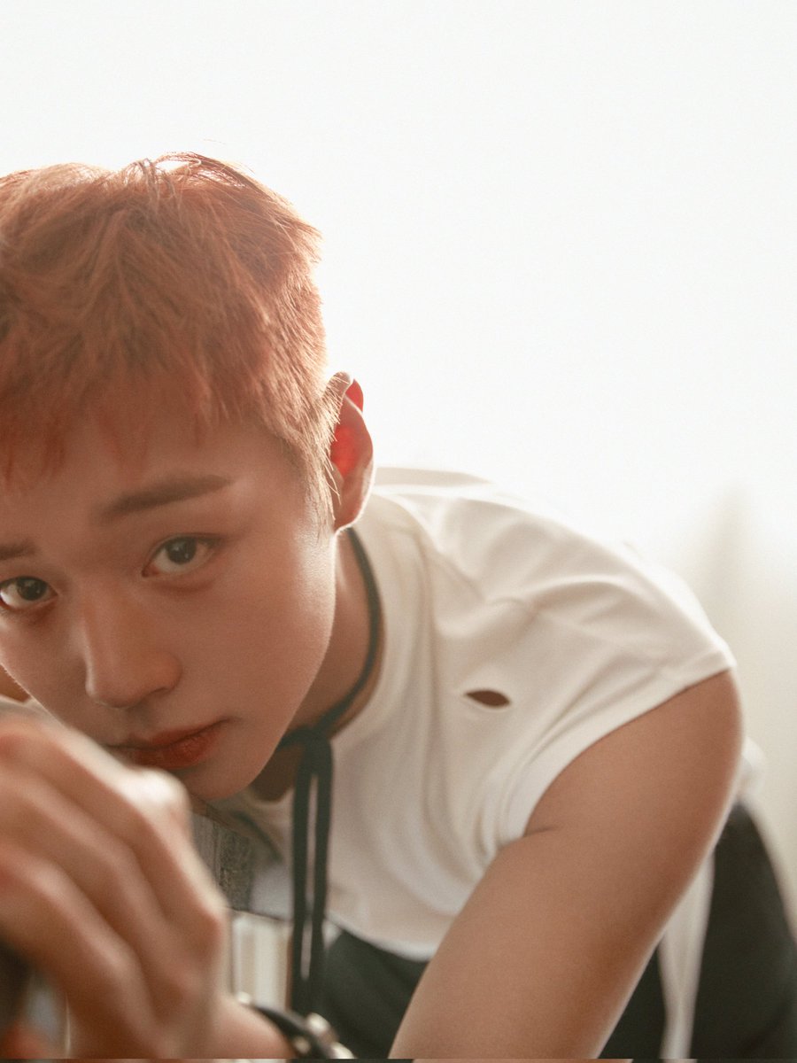 고봉밥 tweet media