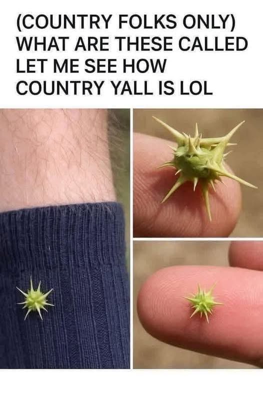 Ron wright tweet media