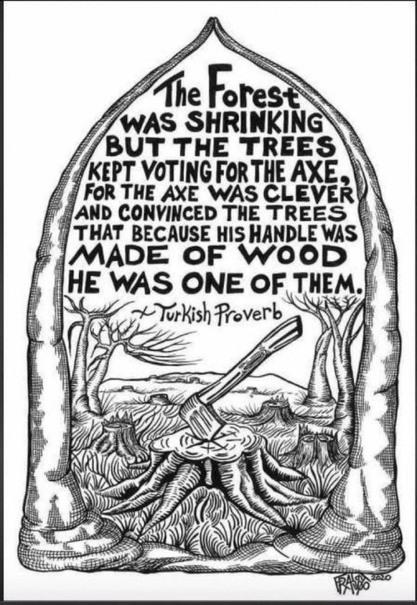 FD_Advice tweet media