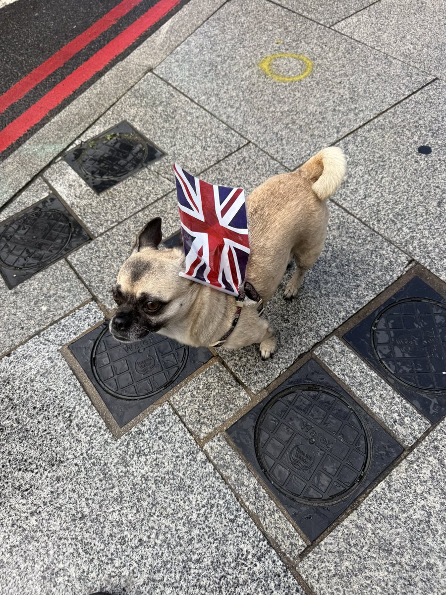 Chiz’da’Whiz tweet media