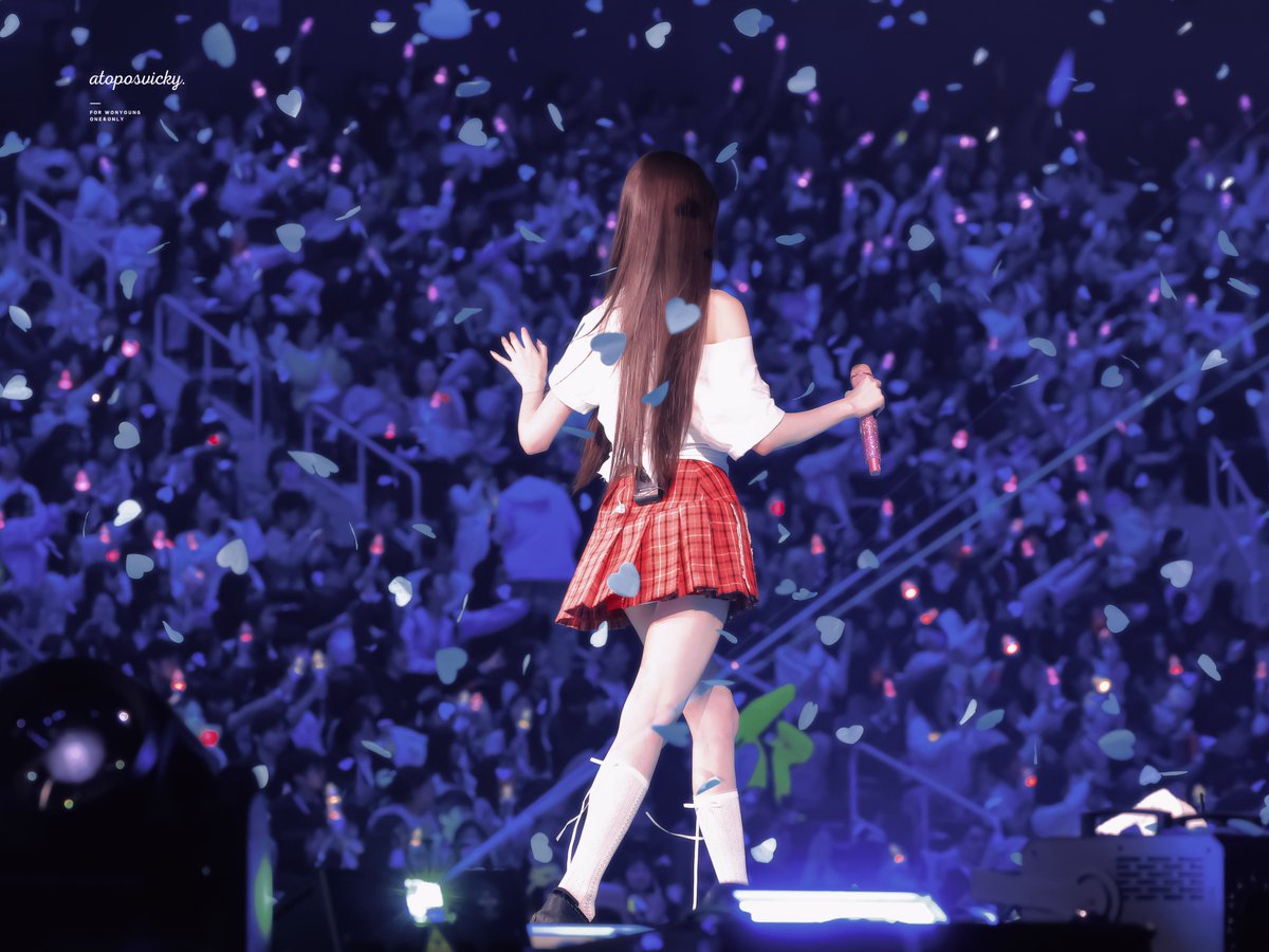 토끼장 tweet media