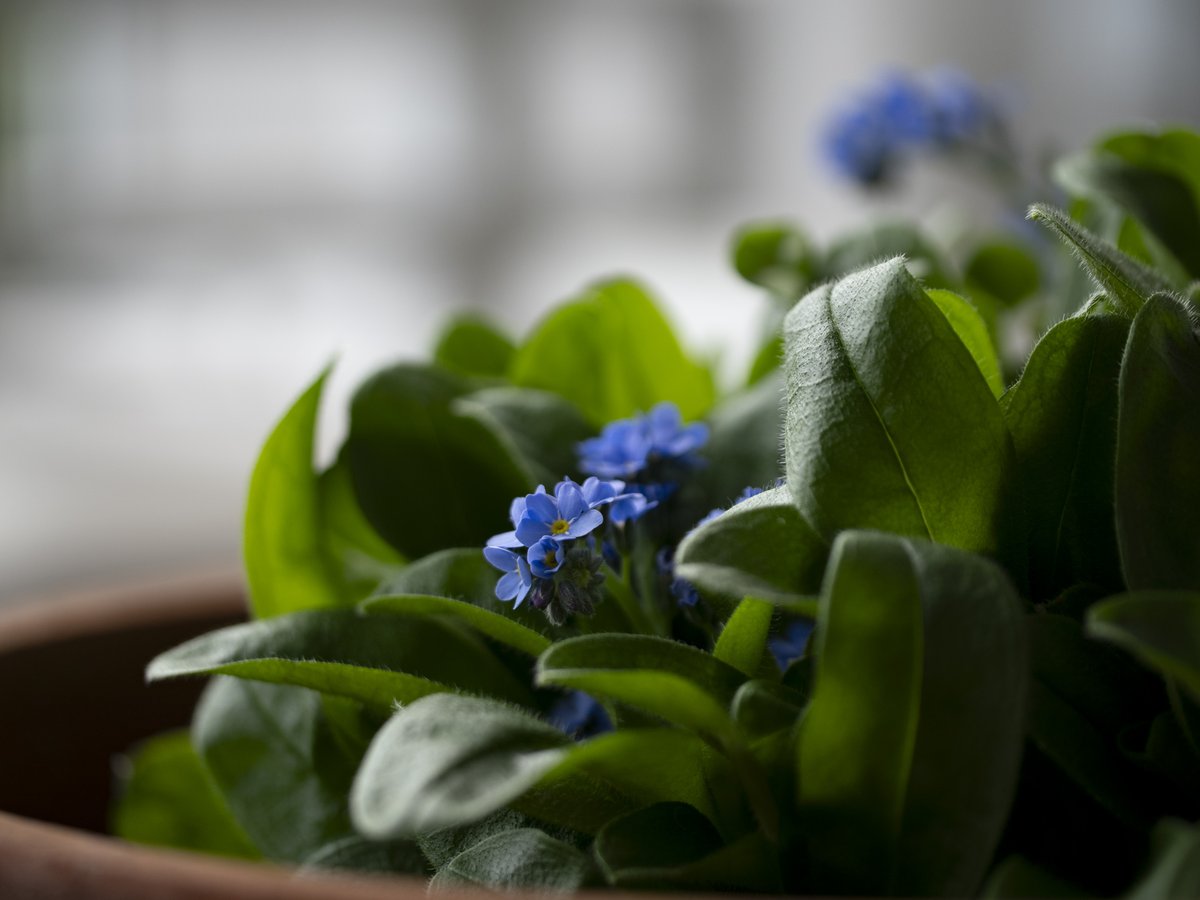 3月も
おわり。

20260331
#NoWar
#forgetmenot
#ちいさなくに 
#intenyears