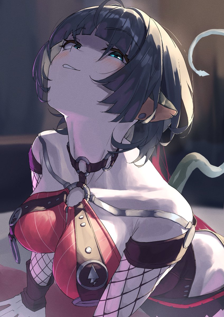 Toramaru tweet media