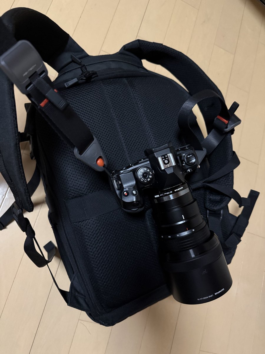 右遍路-uhenro- (漆黒の闇に染まる黒い閃光・フラッシュオブザダークネス) tweet media