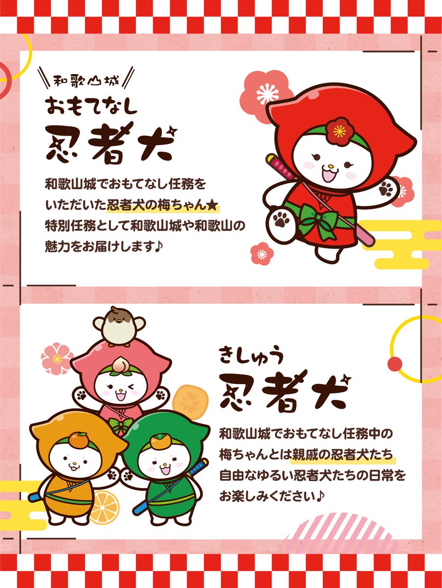 きしゅう忍者犬 tweet media