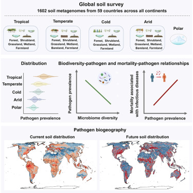 Prof Brajesh Singh tweet media
