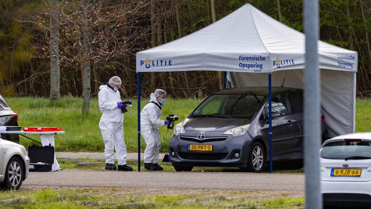 De Telegraaf tweet media