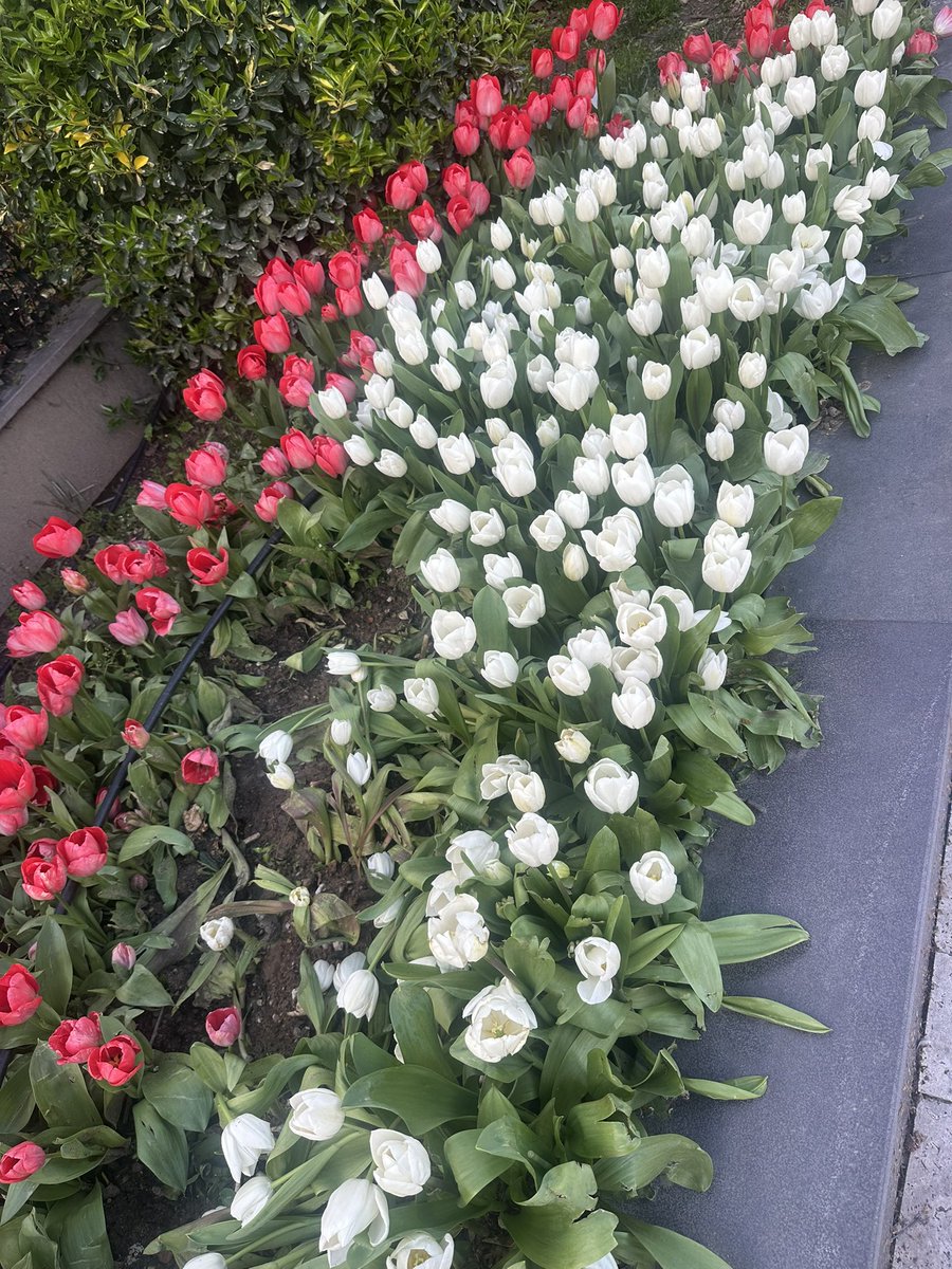 İlayddaa tweet media