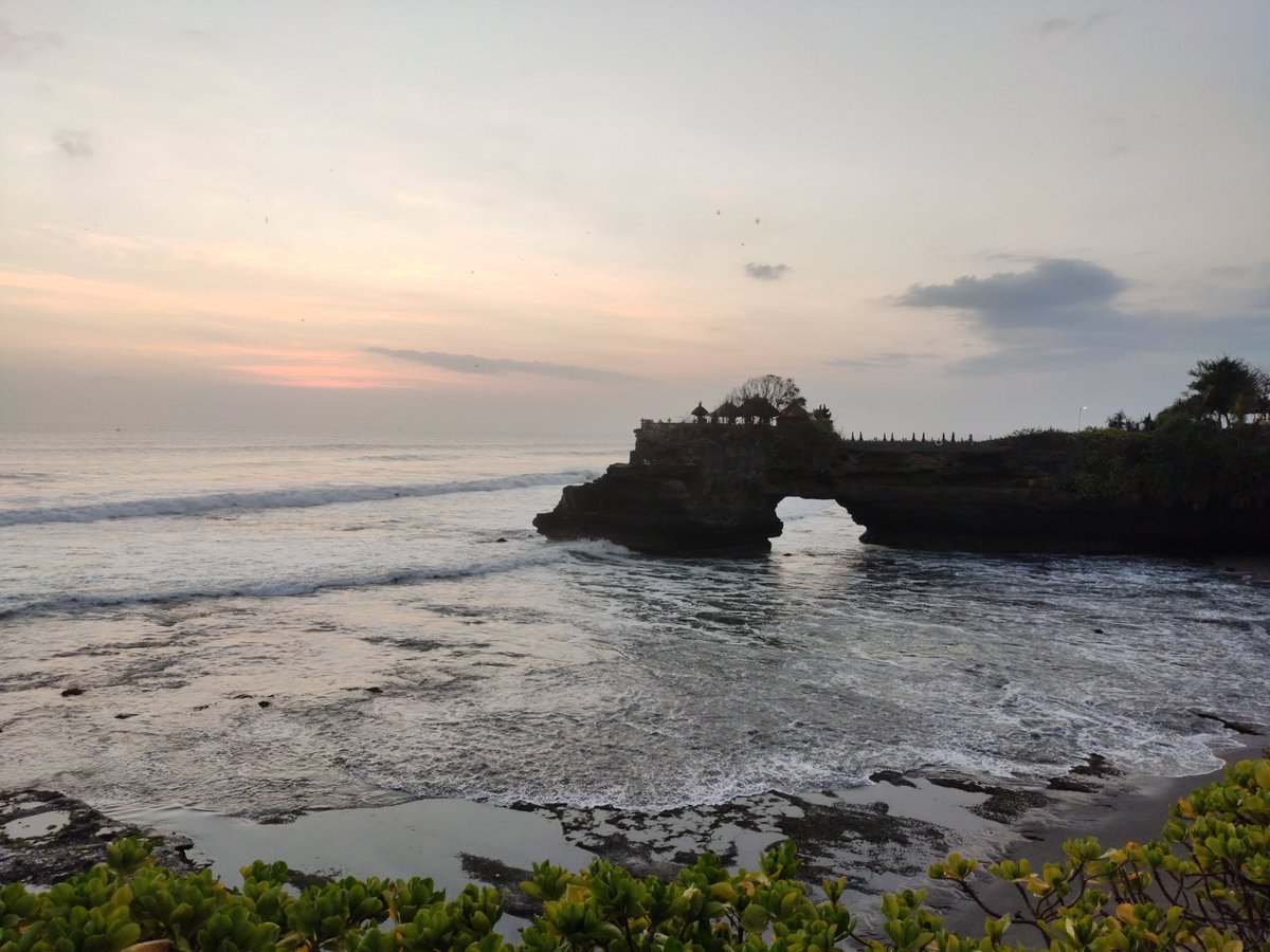 The Big Nag tweet media