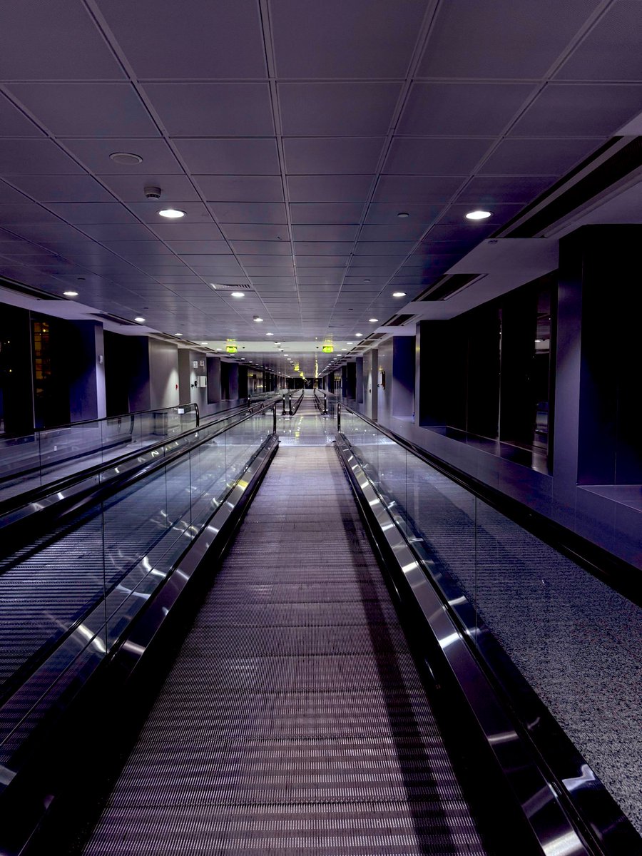 Sic Parvis Magna ᗢ tweet media