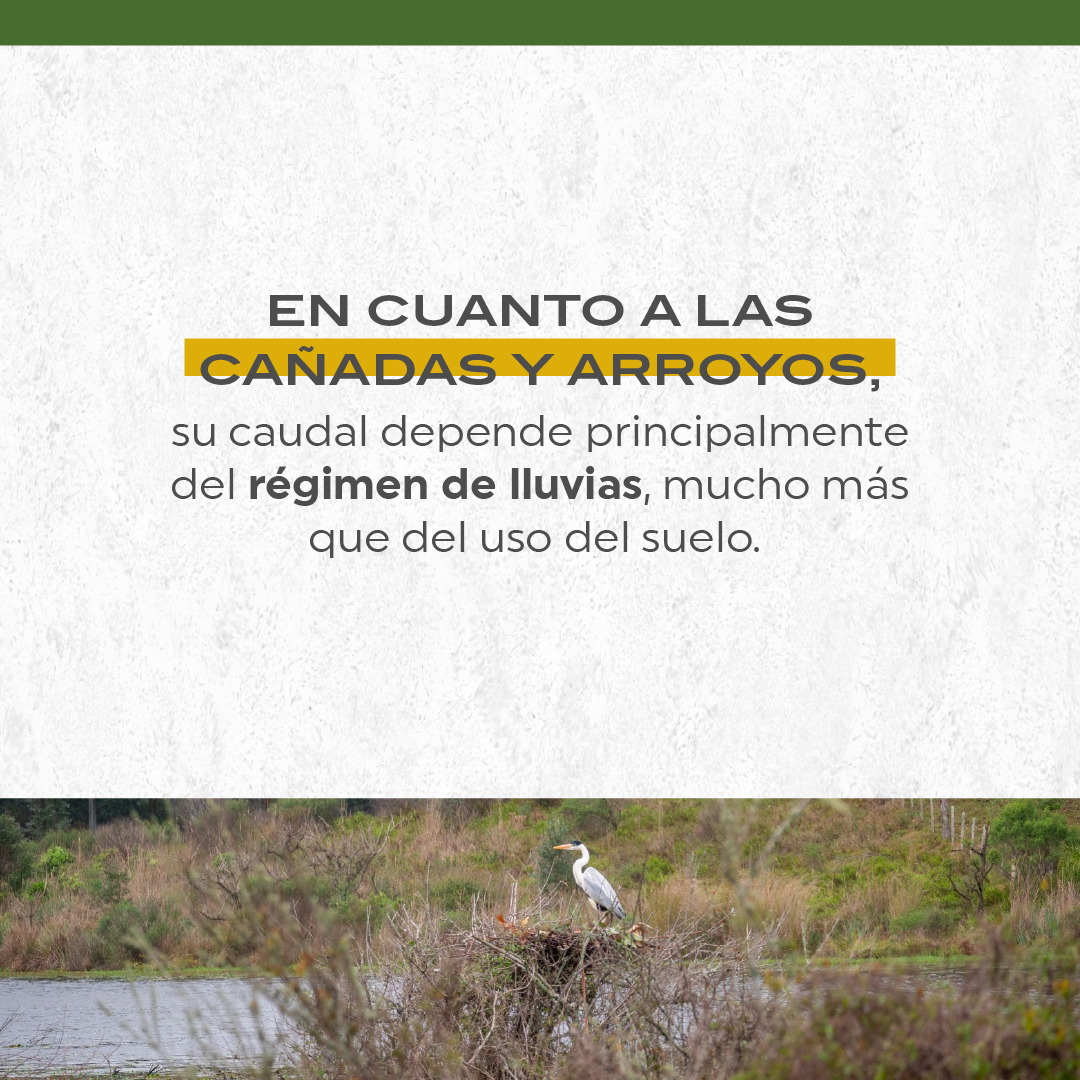spforestales's tweet photo. Continuamos respondiendo consultas que surgieron del video en el que el Ing. Omar Casanova habla sobre suelos y agua.

✔️ PARTE III: POZOS Y CAUDALES. https://t.co/AdPFTnATq8