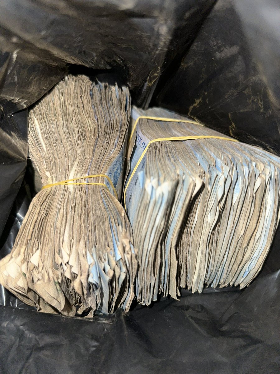 CHAMP👾 tweet media