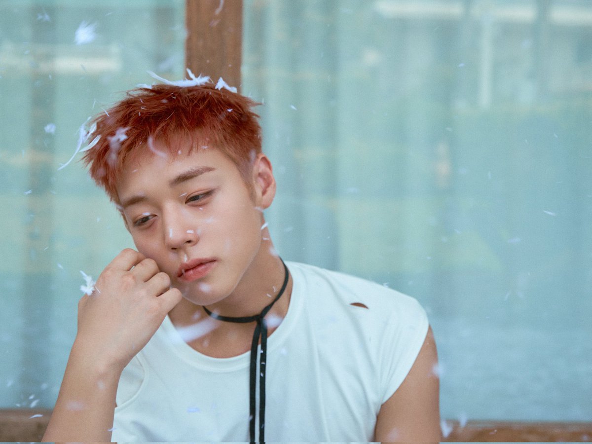 윙구소 tweet media