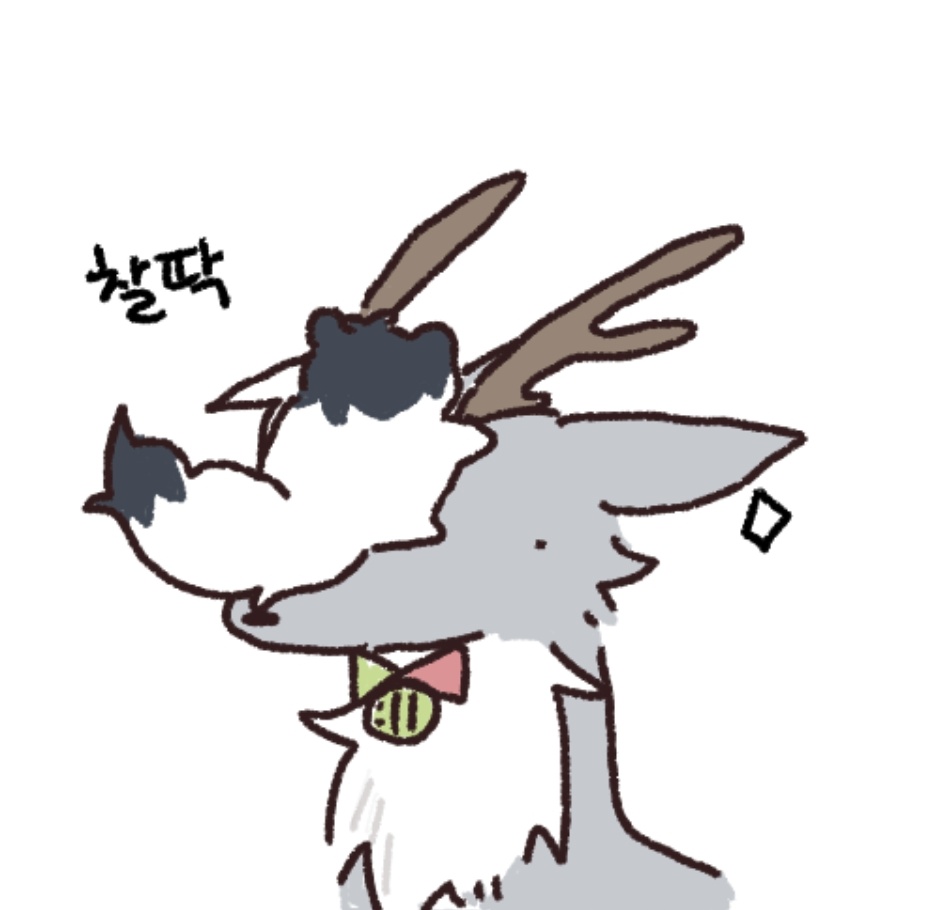 배배꾸 tweet media