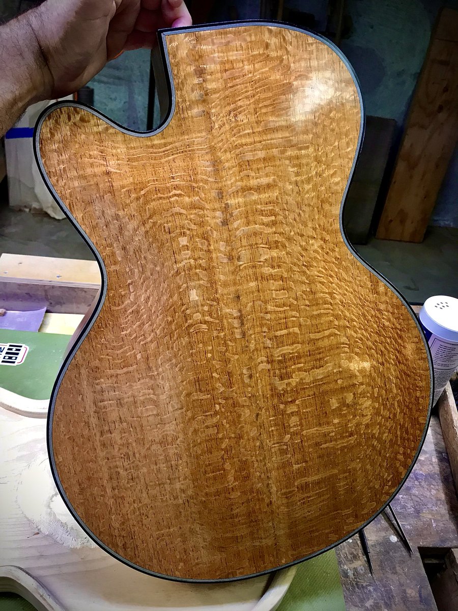 Shira Blanchette tweet media