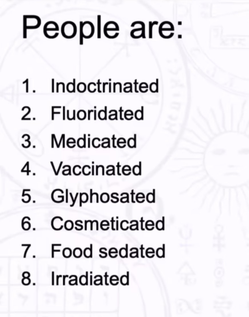 Michelle LA🇨🇦 tweet media