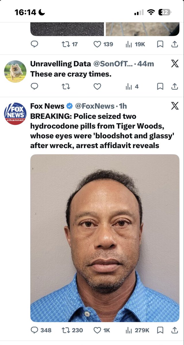 thomasoeoe tweet media