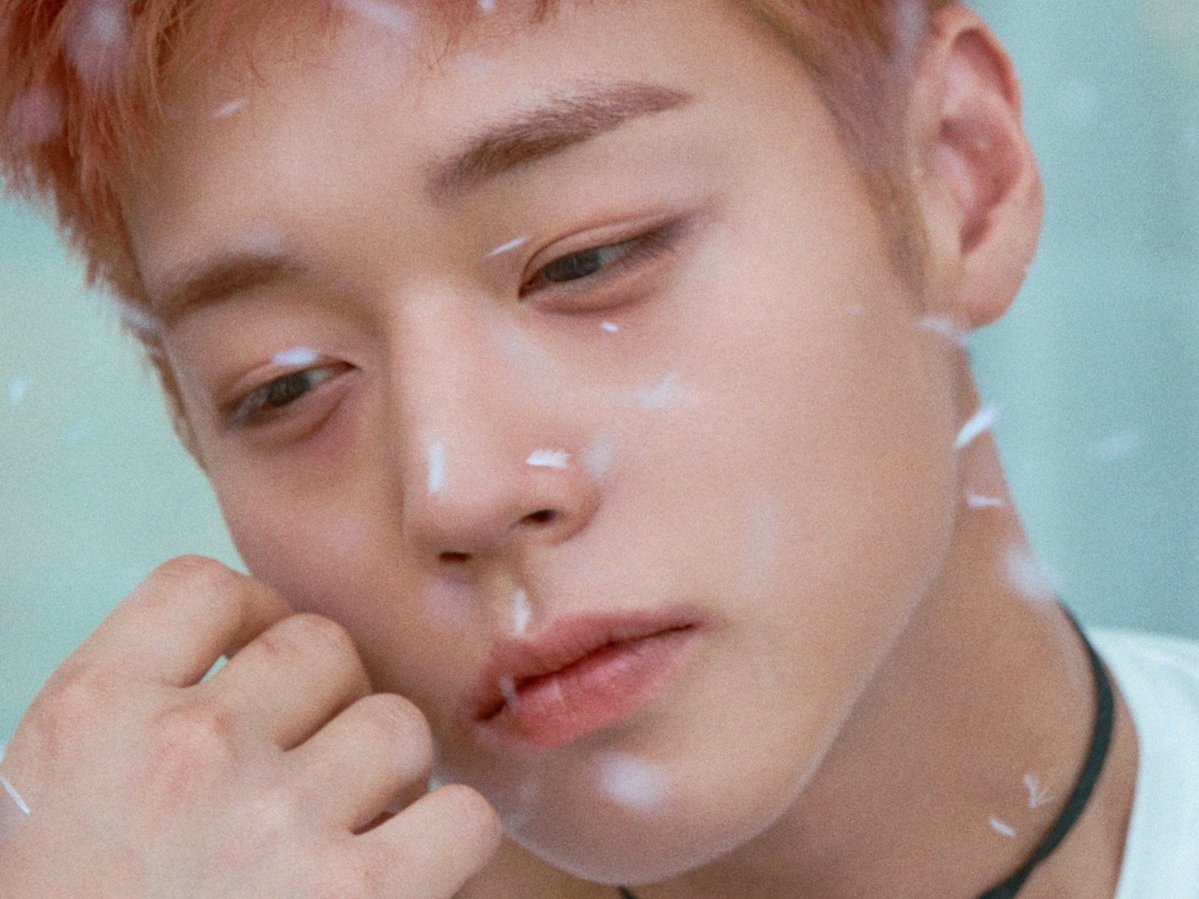 고봉밥 tweet media