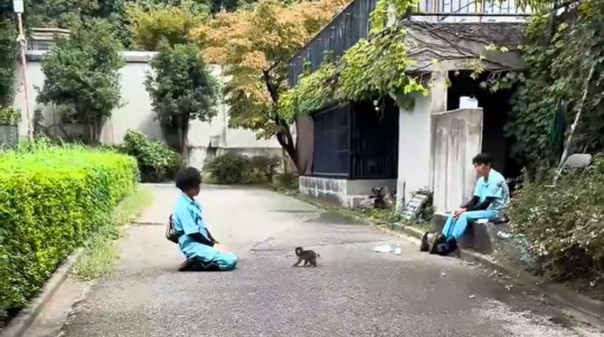 🐱🦄🍉 tweet media