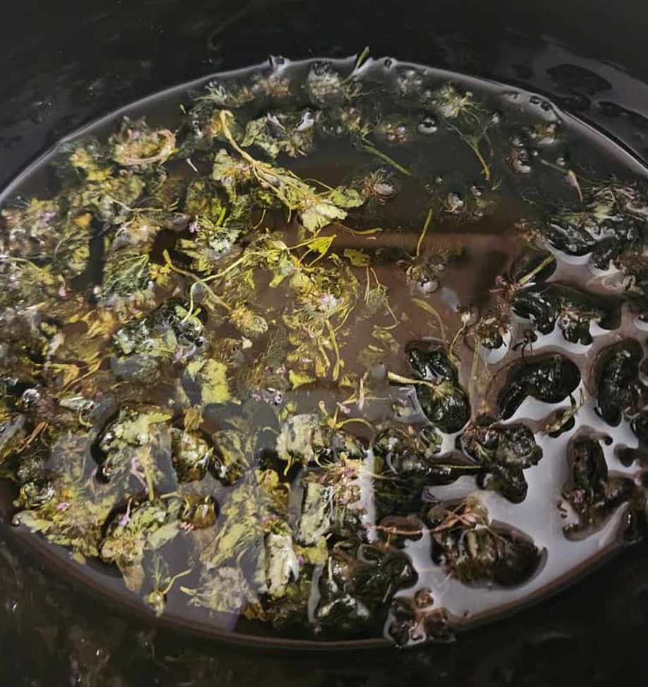 Shannonigans🍀 tweet media