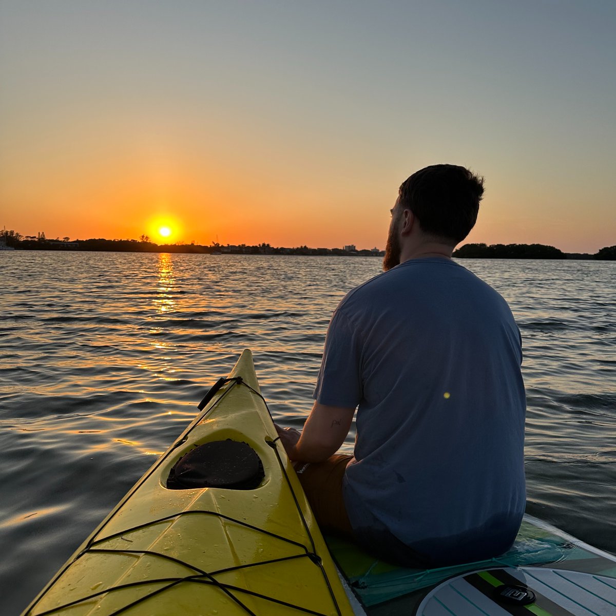 Disclosure tweet media