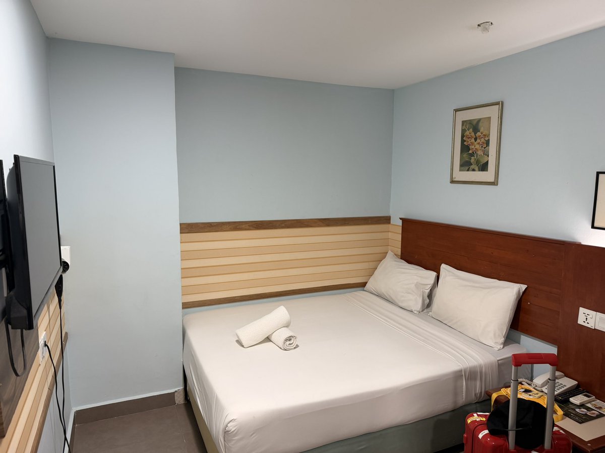 イワマタツヤ Tatsuya IWAMA tweet media