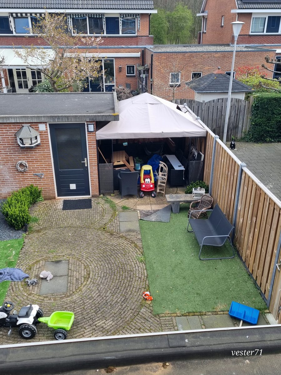 vester71 tweet media