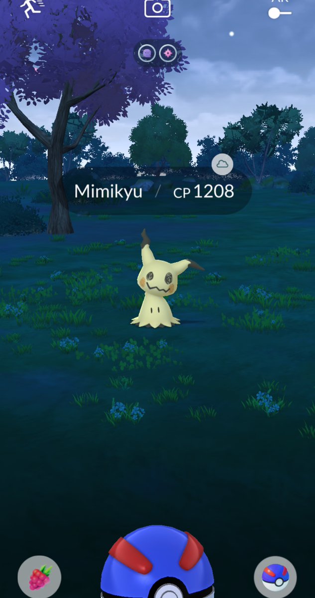 Bob Werley tweet media