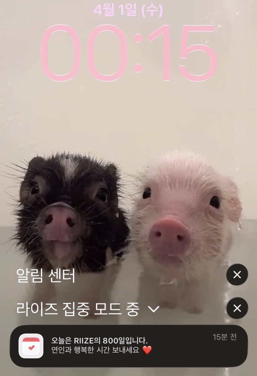 slow 챤 tweet media