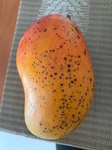 John Thomas and 11,000 others tweet media