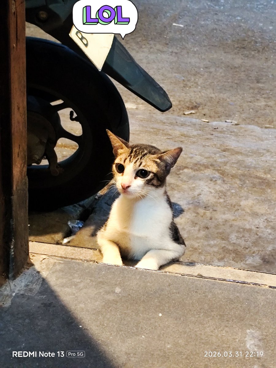 sean 🍓 tweet media