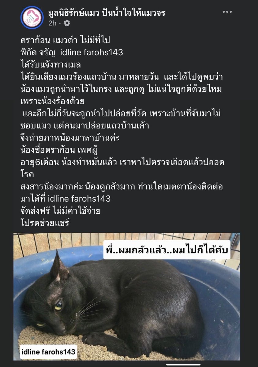 everythinggonnabeok🍀 tweet media