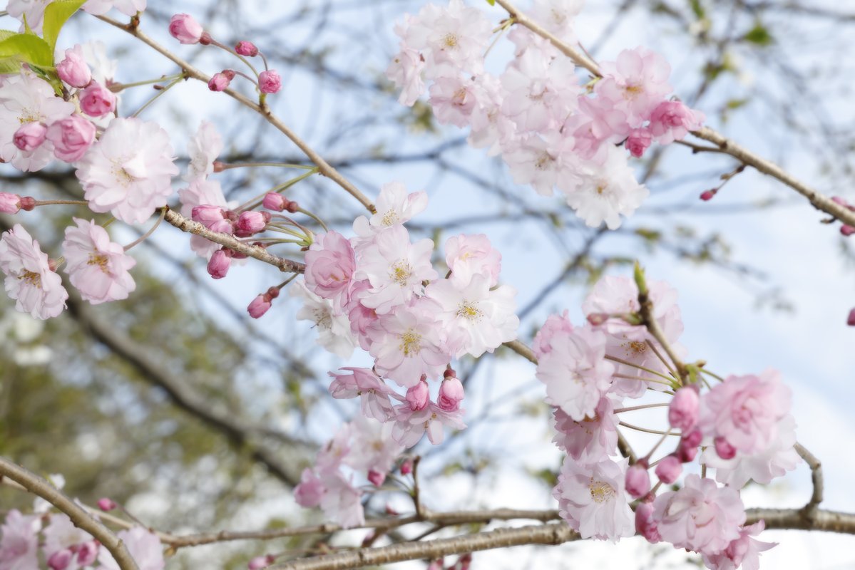 井上浩行 tweet media