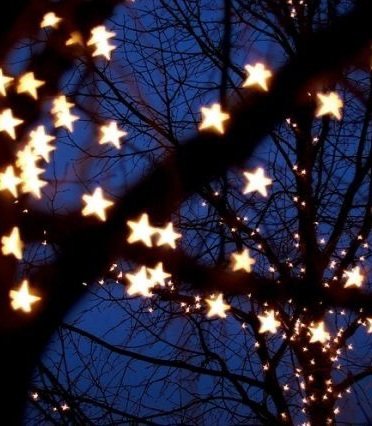 흥엥엥 tweet media