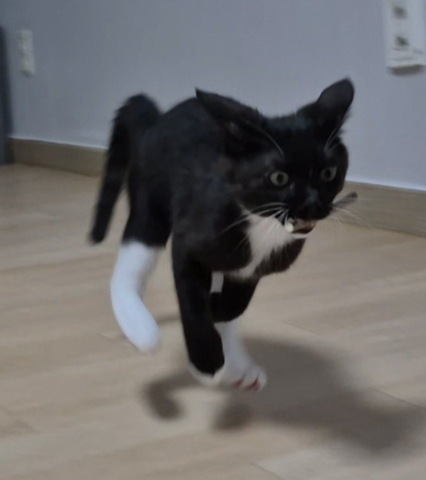 그리고 또 다른 고영