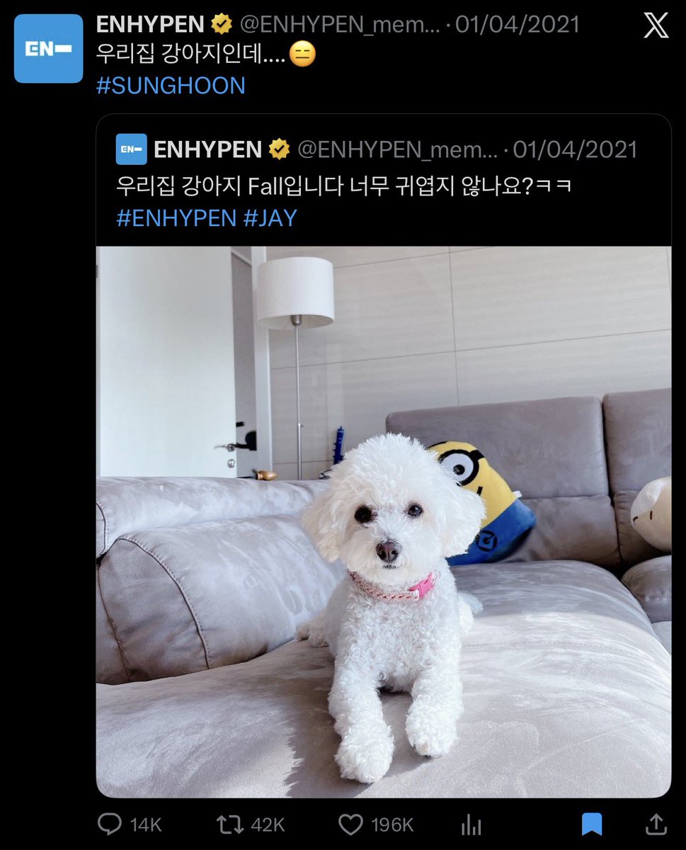 april fools throwback

🐈‍⬛ this is my dog, fall. isn’t she so cute? keke
🐰 it’s my dog though….😑