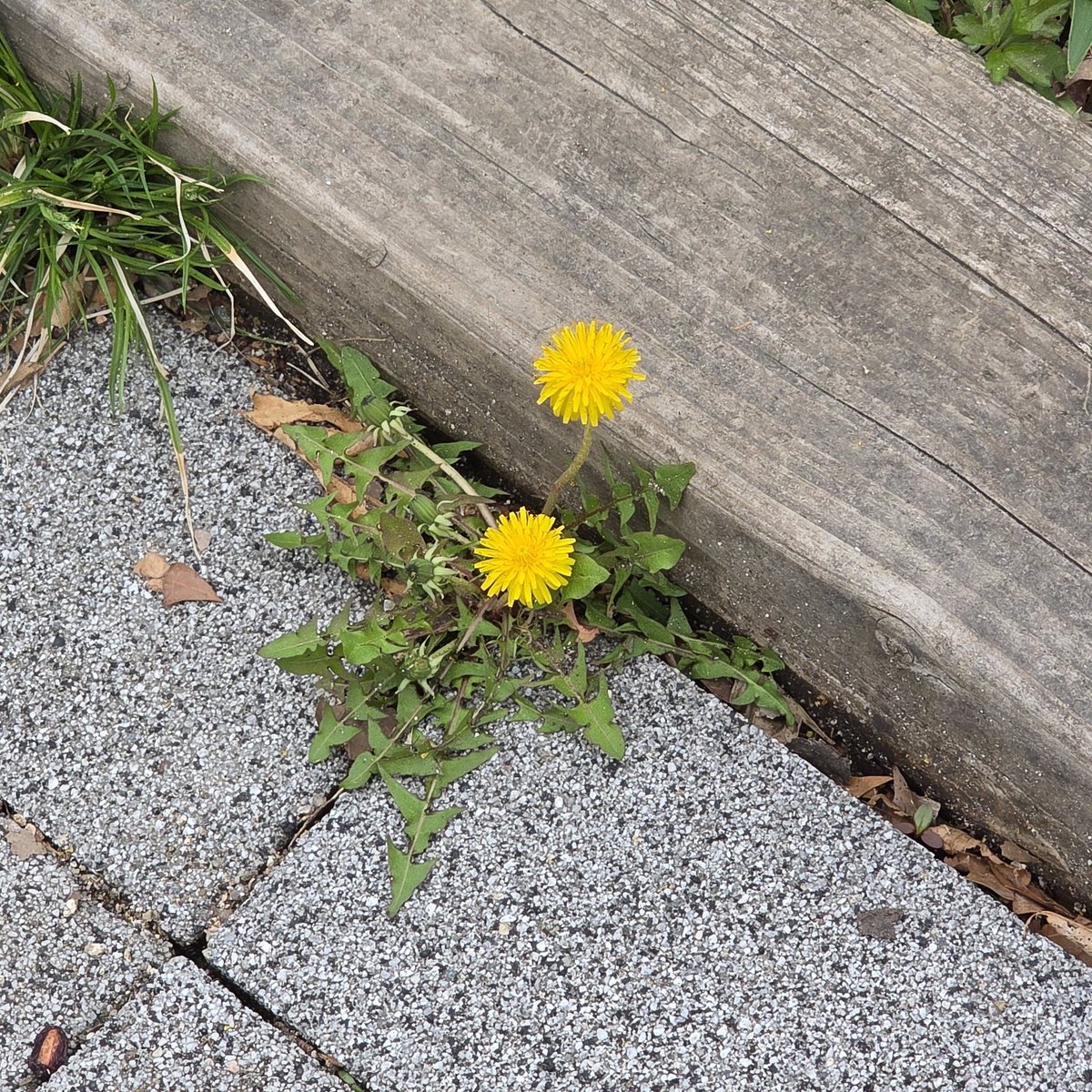 bini_so_ng tweet media