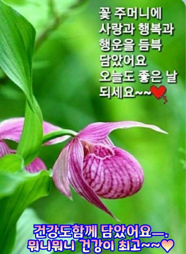 고흥유자농원. tweet media